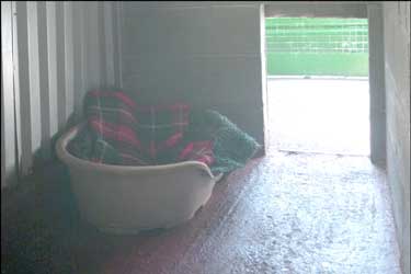 Greenbank kennels interior
